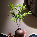 IMG_20200222_100019
