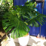 IMG_20200225_173527